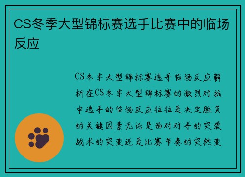 CS冬季大型锦标赛选手比赛中的临场反应