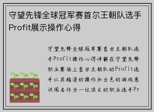 守望先锋全球冠军赛首尔王朝队选手Profit展示操作心得