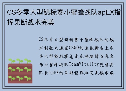CS冬季大型锦标赛小蜜蜂战队apEX指挥果断战术完美