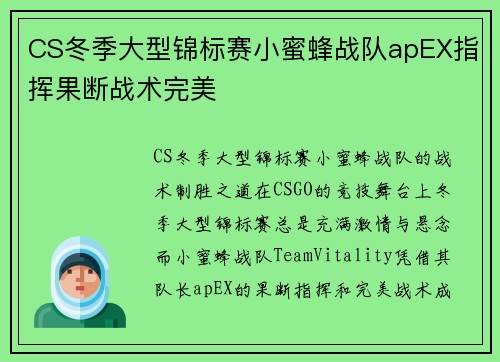 CS冬季大型锦标赛小蜜蜂战队apEX指挥果断战术完美